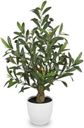 Briful 24.8 Inch Artificial Olive Tree in White Pot for Tabletop Decor by Briful