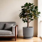 Deep Dream 10 Inch Ceramic Pots for Plants, Heavy Plant Pot for Indoor Outdoor Plants, Large Plant Pot with Drainage Hole and Saucer, Modern Tall Flower Pot, Gifts for Plant Lovers, Grey - Image 2