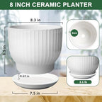 8 Inch Ceramic Plant Pot,White - Image 3