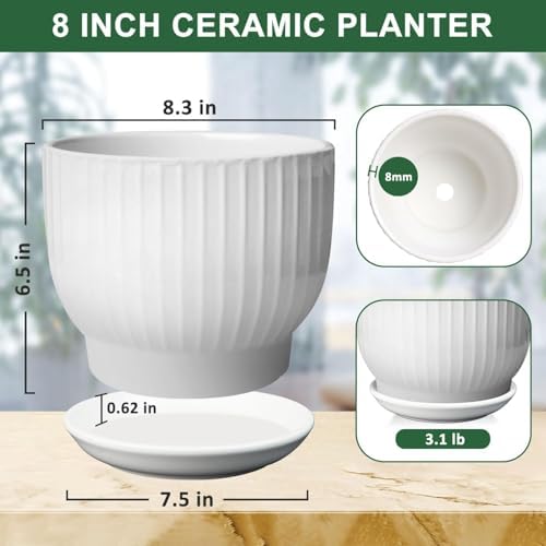 8 Inch Ceramic Plant Pot,White - Image 3