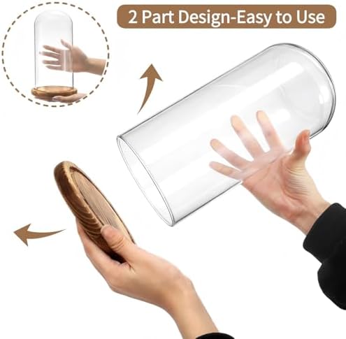 2 Pack Glass Cloche Display Dome, 10 Inch Large Decorative Glass Bell Jar, Clear Dome Showcase with Dark Brown Wooden Base, for Plants, Medals, Photos, Antique Collectibles, Mother's Day - Image 4