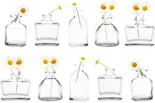 CHIVE ‘Loft’ Small Mini Flower Vases - Clear Glass Bud Vases, Set of 10 - Cute Vintage Rustic Centerpieces for Wedding, Events & Home - Premium Quality, Designed to Last by Chive