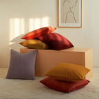 JUSPURBET 28x28 Euro Velvet Throw Pillow Covers Set of 2,Apricot - Image 5