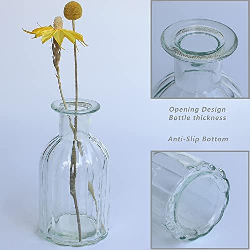 Bud Vases Set of 6 Small Glass Vase for Flowers, Clear Vase Set (Pack of 2) - Image 5