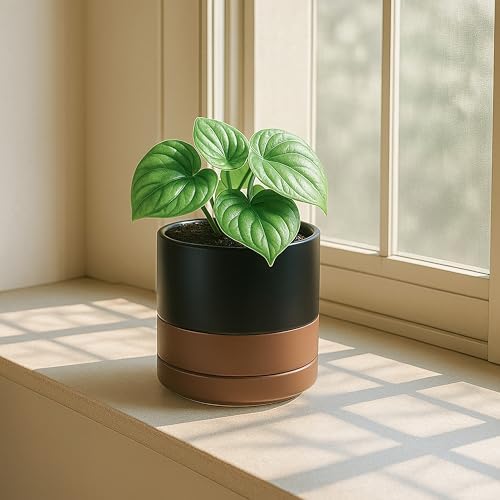 D'vine Dev 4-Pack Ceramic Pots with Saucers, Black/Tan, 4.7 in, 94-X-B-7 - Image 7