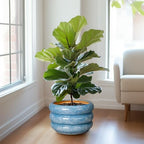 SQOWL Ceramic Plant Pot Indoor with Drainage Hole 13.5 Inch - Large Outdoor Planter Ceramic Flower Pot Modern Round Planter Decorative Plant Pot for Outdoor Porch Decor Blue - Image 4