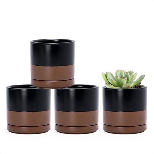 D'vine Dev 4-Pack Ceramic Pots with Saucers, Black/Tan, 3.5 in, 94-X-A-7 by DvineDevPlanterPotsandStand