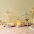 Twakutwku 8" Tall Large Sturdy Handmade Glass Cloche Dome with Metal Base in Shabby White for Plant, Terrarium, Collectibles, Candle. Cloche Glass Dome, Bell Jar Display Case (Shabby White, 8") - Image 7