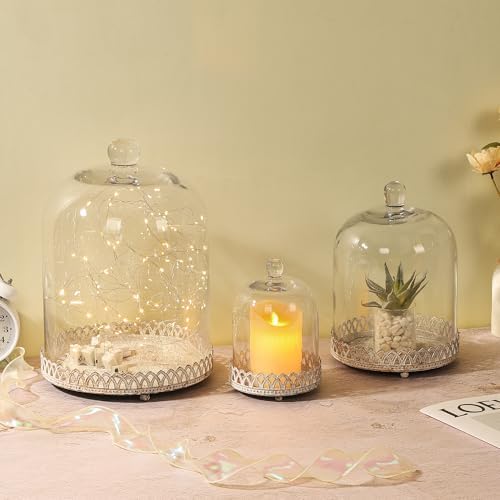 Twakutwku 8" Tall Large Sturdy Handmade Glass Cloche Dome with Metal Base in Shabby White for Plant, Terrarium, Collectibles, Candle. Cloche Glass Dome, Bell Jar Display Case (Shabby White, 8") - Image 7