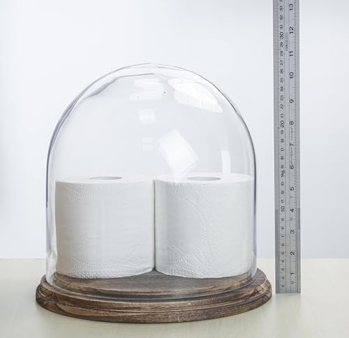 CYS EXCEL Glass Cloche Dome with Lightly Charred Wood Base (H:11" D:11") | Multiple Size Choices Decorative Showcase Display for Antique Collectibles | Bell Jar Terrarium & Dessert Cover - Image 4