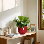 Ceramic Self Watering Planter, 6 Inch African Violet Pots with Absorbent Inner Pot, Round Self Watering Pots, Ceramic Flower Pot for Plants Indoor, Porch Decor, Plant Lover Gifts for Men, Red - Image 7