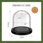Suclain 4Pc Glass Dome Cloche with Wood Base, Black, 4.3" X 3.8" - Image 2