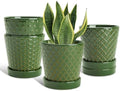 EFISPSS Ceramic Plant Pots, 5 Inch Planters with Drainage Holes and Ceramic Tray, Relief Design Flower Planter, Desktop Office Windowsill Decoration Gift Set of 4 - Blackish Green by EFISPSS