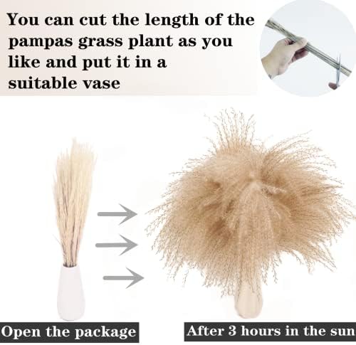 300 PCS Dried Flower Bouquet – Pampas Grass, Floral Decor for Home, Wedding, and Boho Style | Perfect for Vases, Fall, Spring, Summer, and Winter Arrangements (Pack of 2) - Image 4