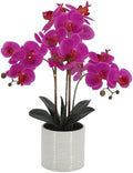 Fake Orchid Plant 23" Tall, Realistic Touch Leaves, Potted Phalaenopsis Artificial Plants Indoor for Home Decor Small Office Home Living Room-Dark Pink by Unknown
