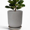 Deep Dream 10 Inch Ceramic Pots for Plants, Heavy Plant Pot for Indoor Outdoor Plants, Large Plant Pot with Drainage Hole and Saucer, Modern Tall Flower Pot, Gifts for Plant Lovers, Grey by DeepDream