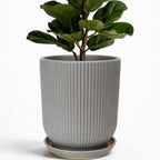 Deep Dream 10 Inch Ceramic Pots for Plants, Heavy Plant Pot for Indoor Outdoor Plants, Large Plant Pot with Drainage Hole and Saucer, Modern Tall Flower Pot, Gifts for Plant Lovers, Grey by DeepDream