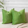 JUSPURBET 28x28 Euro Velvet Throw Pillow Covers Set of 2,Apple Green by JUSPURBETHOME