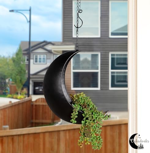 Hanging Moon Planter for Moon Room Decor - Great for Succulents, Air Plant, Mini Cactus, Faux, Artificial Plants-Boho Hanging Planters for Indoor Plants, Witchy Gifts for Women, Birthdays,Plant Lovers - Image 4