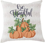 Greendale Home Fashions 18 in. Square ''Be Thankful'' Fall Throw Pillow by GreendaleHomeFashions