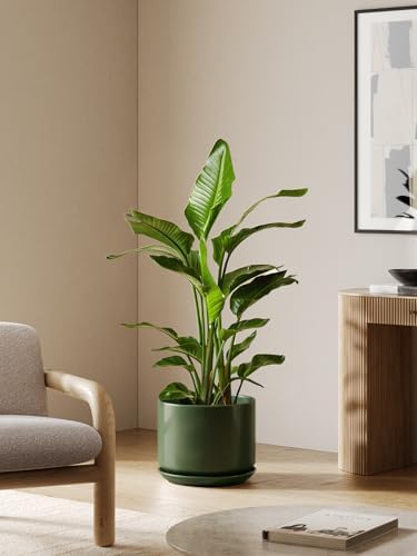 LE TAUCI 12 Inch Pots for Plants, Ceramic Planter with Saucer, Forest Green - Image 6