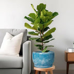 SQOWL Ceramic Planters - 10 Inch Plant Pot Indoor with Drainage Hole and Saucer, Decorative Flower Pot Outdoor, Round Large Planter, Living Room Office Garden Decor, Plant Lover Gifts for Women, Blue - Image 2