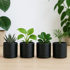 D'vine Dev 4-Pack Ceramic Pots with Saucers, Black, 3.5 in, 94-X-A-2 - Image 7