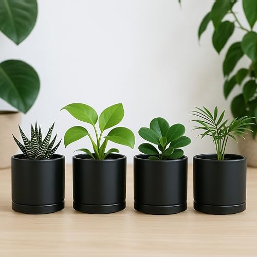 D'vine Dev 4-Pack Ceramic Pots with Saucers, Black, 3.5 in, 94-X-A-2 - Image 7