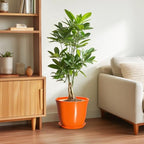 10 Inch Plant Pot, Ceramic Pots for Plants with Drainage, Orange - Image 4