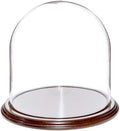 Plymor 8" x 8" Glass Display Dome Cloche (Dark Mahogany Veneer Base) by Plymor