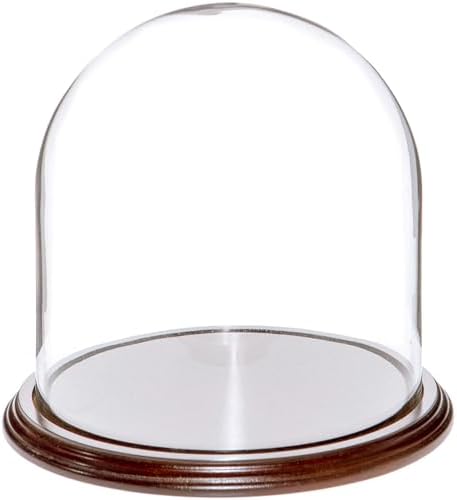Plymor 8" x 8" Glass Display Dome Cloche (Dark Mahogany Veneer Base) by Plymor