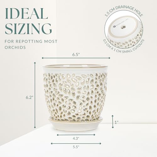 Elegant Orchid Pot with Holes, Large 6.5 inch Premium Porcelain Ceramic Orchid Pot for Repotting, Durable Ceramic Planter with Removable Saucer for Easy Drain, Planter Gifts for Moms - Image 4