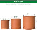 D'vine Dev 3-Pack Classic Terracotta Pots & Saucers, 6/8/10 in, 40-T-C-0 - Image 3