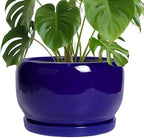 SQOWL Ceramic Plant Pot - 10 Inch Ceramic Planter for Indoor Outdoor, Round Flower Pot with Drainage Hole and Saucer, Modern Decorative Large Planter, Garden Decor, Plant Lover Gifts, Blue by SQOWL