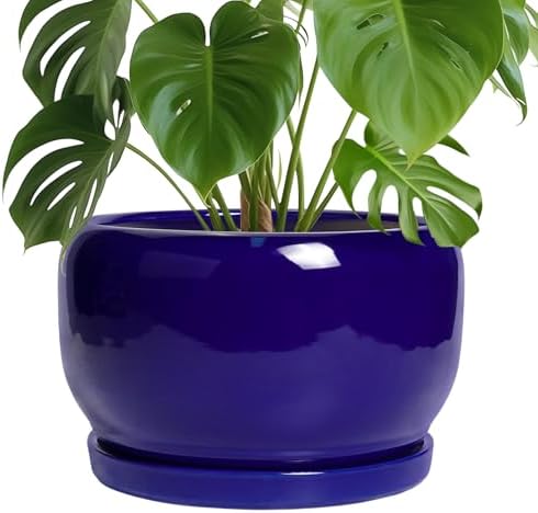 SQOWL Ceramic Plant Pot - 10 Inch Ceramic Planter for Indoor Outdoor, Round Flower Pot with Drainage Hole and Saucer, Modern Decorative Large Planter, Garden Decor, Plant Lover Gifts, Blue by SQOWL