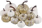 winemana 16 Pcs Golden and White Pumpkins Fall Decorations for Home by winemana