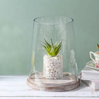 8" Wide Glass Hurricane Candle Holders with Handmade Sturdy Glass Sleeves and Distressed Brown Wood Base for Pillar Candle & Plants, Industrial, Farmhouse, Display Cloche Bell Jars, Table Centerpiece - Image 5