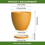 10 Inch Plant Pot - Ceramic Planter with Drainage Hole and Saucer, Modern Flower Pot, Round Planters for Indoor Plants, Home Patio Bathroom Porch Garden Living Room Decor, Orange - Image 3