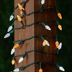 Novelty Lights 24FT 70 LED C6 Christmas String Lights, Orange & Pure White - Image 3