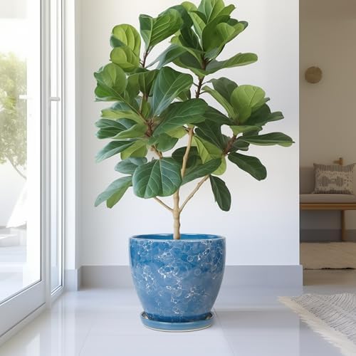 Ceramic Flower Pot - 10 Inch Planter with Drainage Hole and Saucer, Modern Large Planters, Decorative Plant Pot for Indoor Ourdoor, Room Home Garden Porch Decor, Plant Lover Gifts, Blue - Image 4