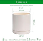 D'vine Dev 2-Pack Ceramic Pots with Saucers, Oatmeal, 10 in, 94-V-E-8 - Image 3