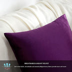GIGIZAZA Purple Velvet Decorative Throw Pillow Covers Cushion Cover Set of 4 Luxury Pillow Cases for Sofa - Image 5