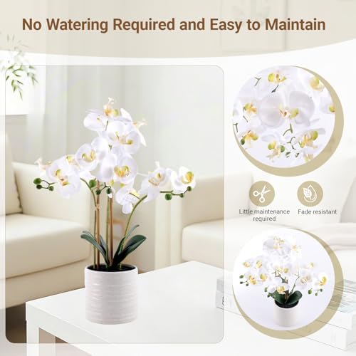 Fake Orchid Plant 23" Tall, Realistic Touch Leaves, Potted Phalaenopsis Artificial Plants Indoor for Home Decor Small Office Home Living Room-White - Image 4