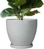 10 Inch Planter - Ceramic Pots for Plants, Planters with Drainage Hole and Tray, Modern Flower Pots Indoor, Home Living Room Patio Porch Garden Office Decor, Gray by EPFamily