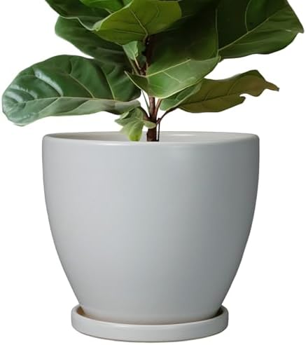 10 Inch Planter - Ceramic Pots for Plants, Planters with Drainage Hole and Tray, Modern Flower Pots Indoor, Home Living Room Patio Porch Garden Office Decor, Gray by EPFamily