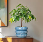 SQOWL 8 Inch Plant Pot with Drainage Hole - Ceramic Pot for Plants Outdoor Planter for Indoor Plants Decorative Plant Pot Medium Flower Pot Round Planter for Bathroom House Decor Blue - Image 4