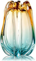 Hand Blown Glass Flower vases, Unique Glass vases, Wide Mouth vases, Small Modern Art Deco Glass vases for Home Living Room, Office, Table centerpieces, Bookshelves and Wedding Decorations by YACSNBF