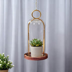 12" High Versatile Vintage Brass Metal Candle Holder with Handmade Sturdy Glass Dome and Natural Wooden Base for Pillar Candle & Plants, Industrial, Farmhouse, Shabby Chic, Display Cloche Bell Jars - Image 4