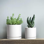 D'vine Dev 3-Pack White Terracotta Pots & Saucers, 4/5/6 in, 40-T-A-1 - Image 6