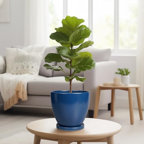 Ceramic Plant Pot - 8 Inch Planter for Indoor Outdoor Plants, Round Flower Pots with Drainage and Tray, Home Office Decor, Blue - Image 4